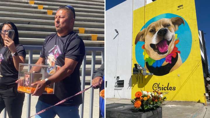 Despiden a Chicles en Tijuana; Realizaron su Última Carrera y un Mural