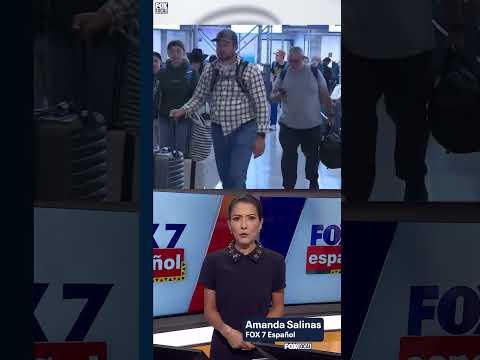 ✈️Los pasajeros de el aeropuerto: Monitorear a la FAA durante el cierre del gobierno