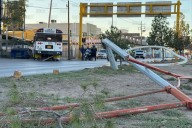 Chofer dormido destruye árboles y poste en la avenida Pérez Serna
