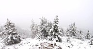 Snow warning issued for Banff Saturday