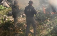 Destruyen y queman plantío de marihuana
