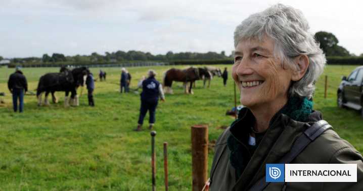 La izquierdista Catherine Connolly gana las elecciones y será la próxima presidenta de Irlanda
