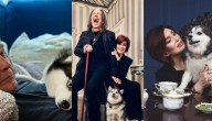 "Estuvo a mi lado hasta el final": viuda de Ozzy Osbourne reveló nueva pérdida tras muerte del artista
