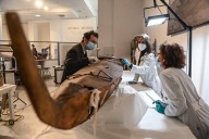 Indigenous artifacts at Vatican Museums heading back to Canada after repatriation campaign