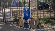Dallas Mavericks replace Dirk Nowitzki skeleton stolen from Fort Worth school