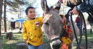 Gallery: Fall Fair and Festival at Northern Arizona Riding Stables