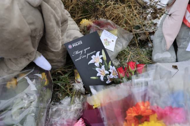 Baby Ava found dead in a field ‘could have been kept in fridge for years before’