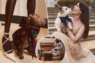Oscar de la Renta x Simon Sits' collaboration gives dog bows the high fashion treatment