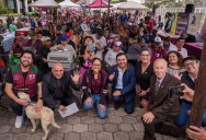 Tlalpan contará con una nueva clínica veterinaria en Coapa y en 2027 construirá el primer albe...