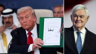 Gingrich praises Trump for changing 'the game' with Middle East deal