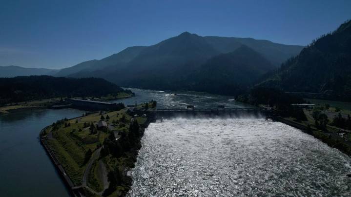 Conservationists ask court to OK Pacific Northwest dam operation changes to help salmon