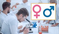 Report: Despite Attempts To Add More Genders, There Still Seem To Be Just 2 Plus 767 Mental Disorders