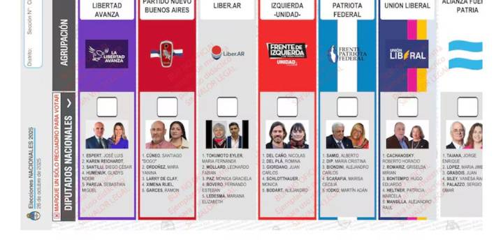Renuncia de Espert: el Gobierno apeló el fallo por la reimpresión de boletas en PBA y ahora definirá la Cámara Nacional Electoral