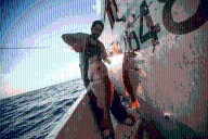 Forget the Guilt—Eating Seafood Can Help Save the Ocean