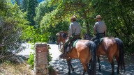 U.S. Department Of Interior Cites Park Ranger Concerns At Yosemite National Park As "Misinformation"