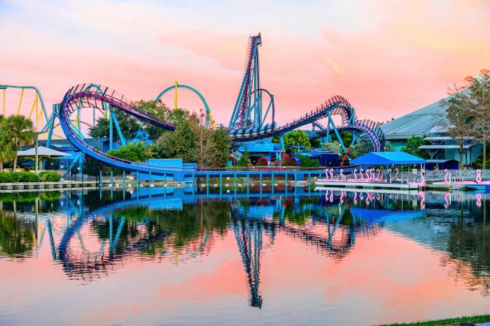 Rider maimed by duck on rollercoaster at SeaWorld Orlando, lawsuit says