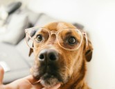 20 Things Only People Who Wear Glasses Understand