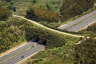 Carreteras seguras para conductores y animales