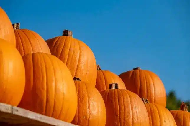 Your Mississippi forecast for Friday, October 31