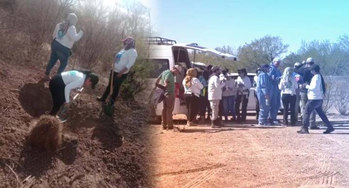 Confirman 60 cuerpos encontrados en carretera al poniente de Hermosillo; ya hay 5 personas judicializadas por homicidios, afirma Fiscalía
