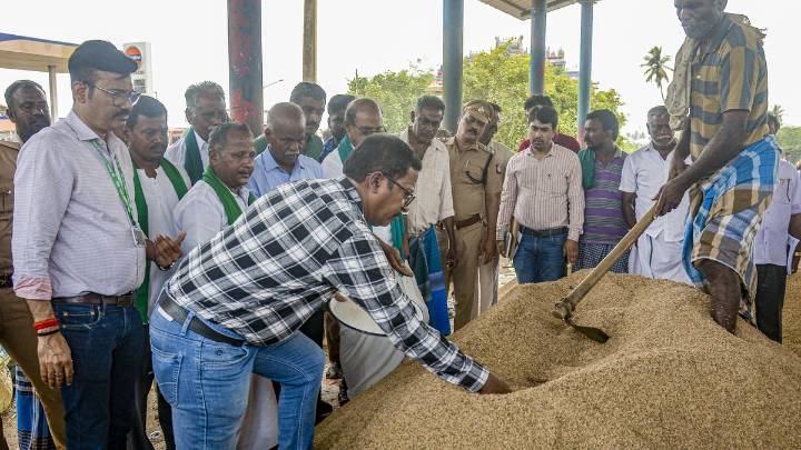 What is the problem faced by paddy farmers of Tamil Nadu?
