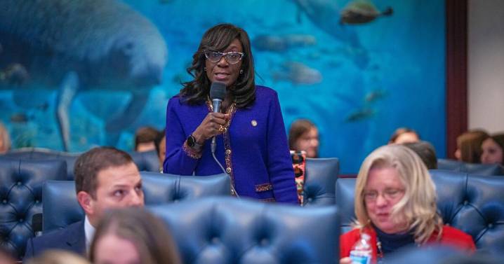Florida Dem again files bill to create database to help in voter