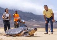 La 2ª Jornada de Medio Ambiente de Fuerteventura analiza la relación entre cambio climático y océanos