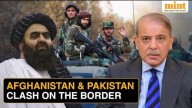 Pakistan, Afghanistan agree to 48-hour ceasefire: ‘Respect this’