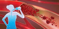 Cuánta agua debes consumir al día para mantener limpias tus arterias
