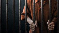 Palghar murder accused woman on run for 5 years held from Mumbai