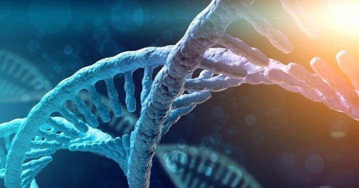 Millions Carry Hidden Cancer Risk, Experts Say