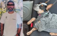 Justicia para Sicilia: llaman a Rommel Pacheco a destituir a director deportivo por crueldad animal