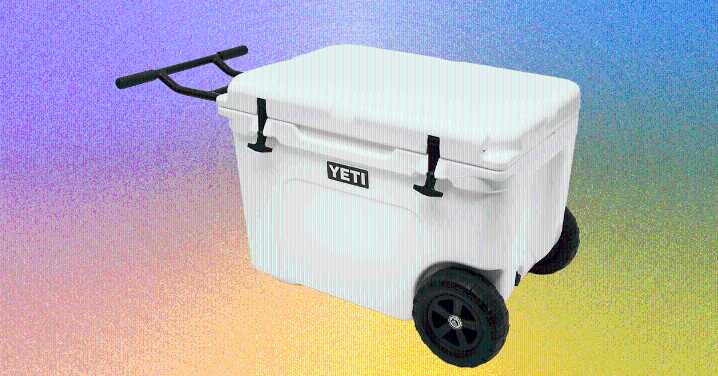 The 15 Best Coolers for Cold Beer on Hot Days