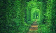 El amor es un túnel