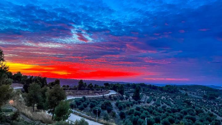 El eco de California: Lleida, Napa y la memoria que viaja en el vino