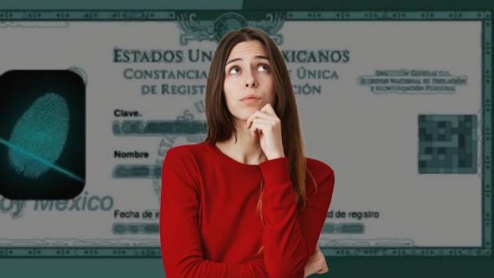 ¿Desaparecerá la credencial del INE con la llegada de la CURP biométrica en México? Esto se sabe
