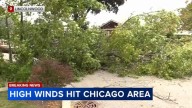 Chicago weather: Trees knocked down amid high winds in Lincolnwood, Glen Ellyn, Illinois
