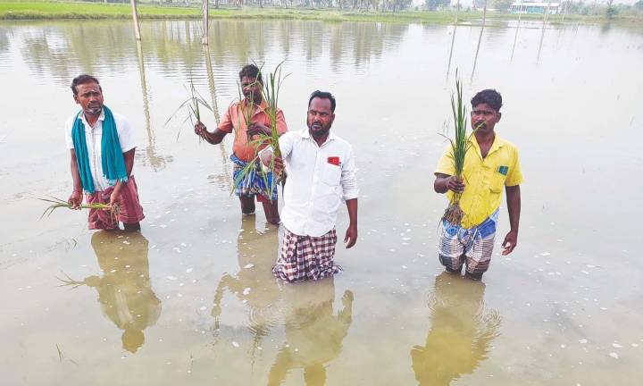 Govt’s inefficiency led to tearful Deepavali for Delta farmers: EPS