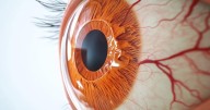 Eye Scans Might Help Determine Heart Health Risk, Experts Say