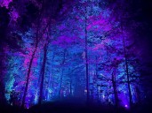 Grand Rapids Halloween 2025: Haunted farms, zombie runs and more
