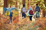 Hiking Trails Around Illinois to Visit Before the Snow Hits