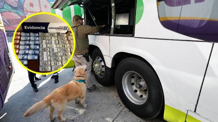 Detectan gran contrabando de billetes: 30 millones de pesos y miles de dólares estaban escondidos en un bus desde Bolivia