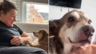 Abused Senior Dog From Mississippi Hears “Good Boy” For The First Time And Can’t Stop Smiling