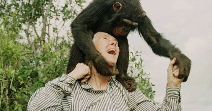 Jane Goodall's cause of death confirmed weeks after she died at 91