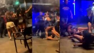 Brutal pelea en una conflictiva discoteca de Palma: latinas a botellazo limpio y tirones de pelo