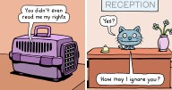 “Cattitude”: Artist Purrfectly Illustrates What Having A Cat Is Like (27 One