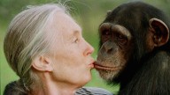 Jane Goodall, conservationist renowned for chimpanzee research and environmental advocacy, has died