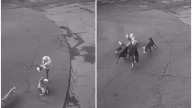 Automovilista salva a mujer cuando era atacada por perros feroces