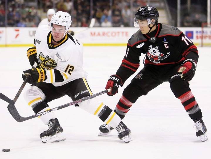 Sarnia Sting's comeback falls short against Niagara IceDogs