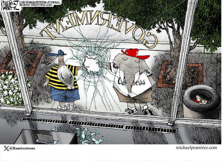 CARTOON: Beltway follies | Michael Ramirez